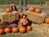 Dsc-0111_72x54_c