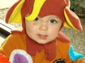 Halloween-070_120x90_c