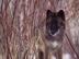 Image005_72x54_c