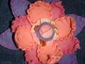 Dsc01593_120x90_c