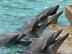 Img-1254_72x54_c